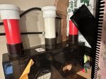 IMG_7033.jpeg