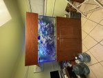 IMG_0644.jpeg IMG_0644.jpeg