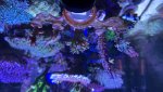 IMG_6825.jpeg