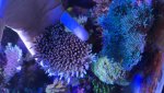 IMG_6830.jpeg