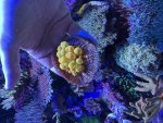 IMG_6831.jpeg