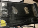 IMG_0241.jpeg