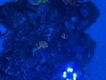 IMG_2962.jpeg