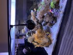 IMG_8008.jpeg