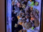 IMG_8012.jpeg