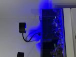 IMG_2998.jpeg