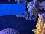IMG_8029.jpeg