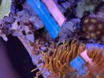 IMG_8040.jpeg