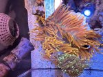 IMG_8026.jpeg