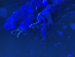 IMG_1267.jpeg