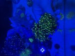 IMG_3030.jpeg
