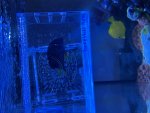 IMG_3534.jpeg