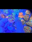 IMG_5310.jpeg