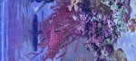 20250319_161232.jpg