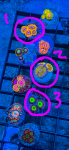 Screenshot_20250326-092340~2.png