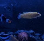 IMG_6126.jpeg