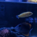 IMG_6127.jpeg
