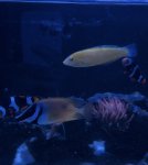 IMG_6128.jpeg