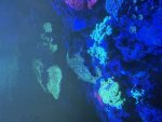 IMG_0763.jpeg