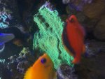 IMG_0757.jpeg