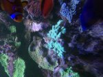 IMG_0753.jpeg IMG_0753.jpeg
