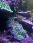 IMG_0751.jpeg IMG_0751.jpeg