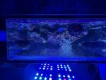 IMG_0784.jpeg