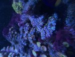 IMG_0761.jpeg IMG_0761.jpeg