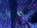 IMG_0760.jpeg