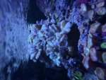 IMG_0758.jpeg