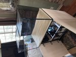IMG_3159.jpeg