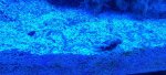 20250329_160849.jpg