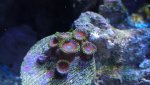 DSC01429.jpg