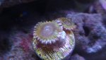DSC01439.jpg