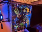 IMG_5139.jpeg