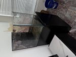 IMG_5186.jpeg