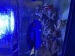 IMG_3662.jpeg