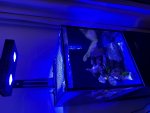 IMG_4372.jpeg