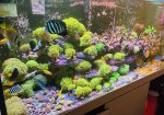 IMG_2211.jpeg