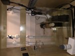 IMG_6113.jpeg