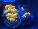 IMG_7722.jpeg