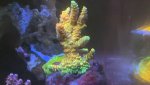 IMG_7672.jpeg