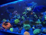 IMG_0399.jpeg