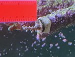 IMG_1532.jpeg