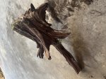 IMG_8373.jpeg