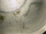 1259FDC6-E2E8-40BD-A99B-C08FA6557DA4.jpeg