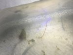 9F01E8BE-A799-4BD6-82E1-A88B606D78AA.jpeg