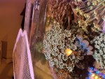IMG_8434.jpeg