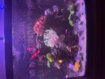 IMG_7954.jpeg