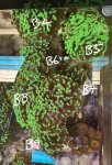 IMG_1758.jpeg